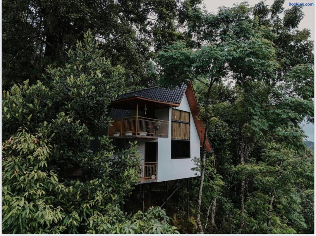 Wild Stories Resort