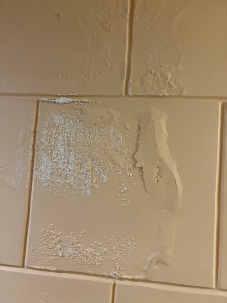 拉科尼亚酒店-官方