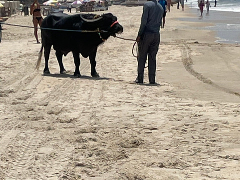 Benaulim Beach-奔闹林必去景点
