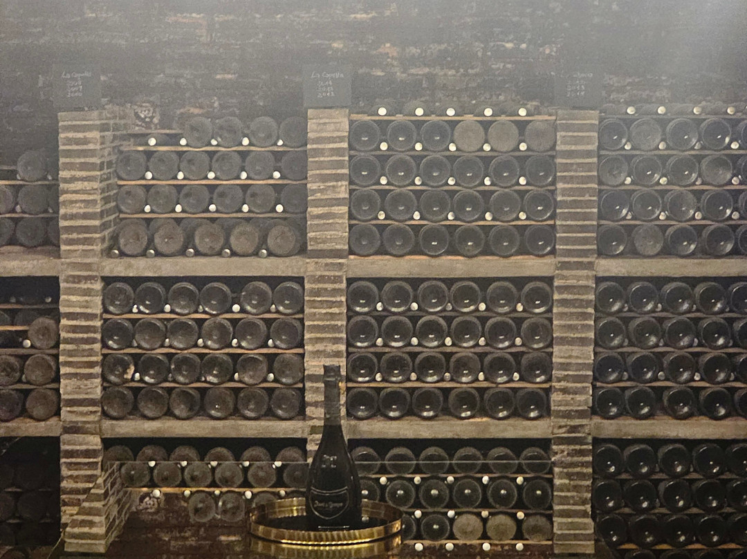 Juvé & Camps-桑特萨杜尔尼达诺亚必去景点