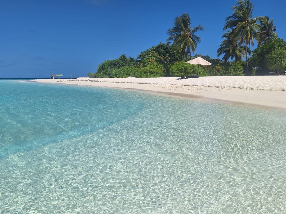 Local Travel Beach主图