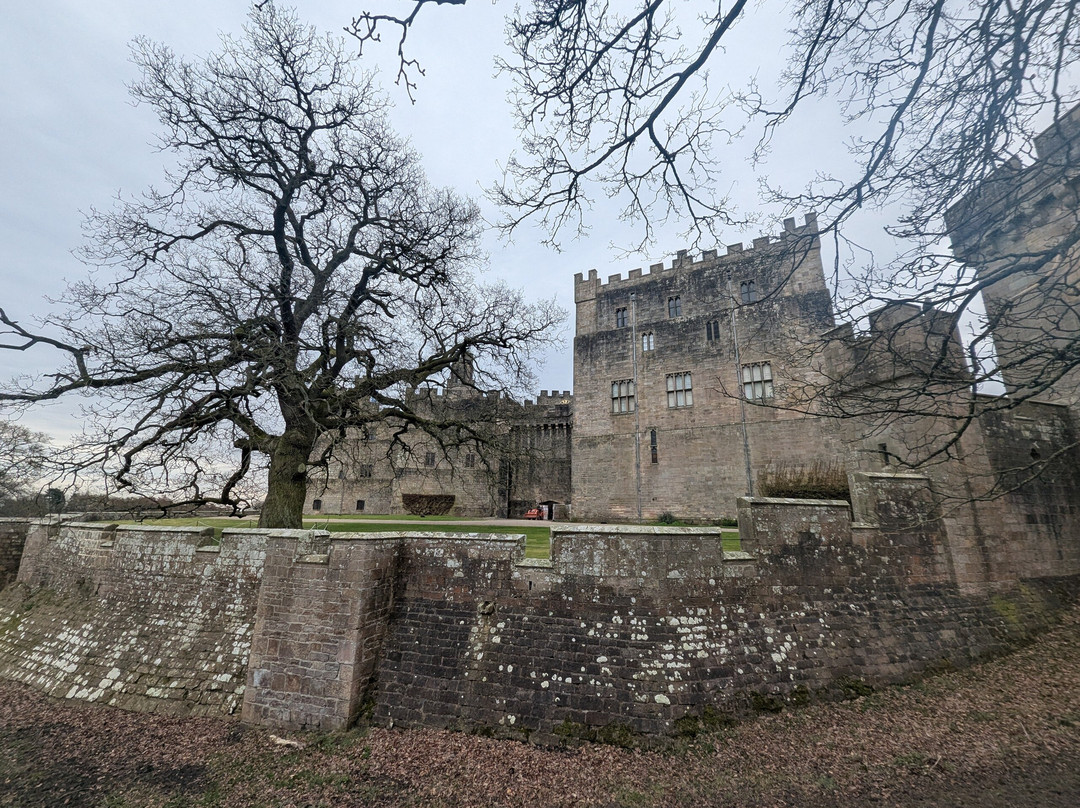 Raby Castle, Park And Gardens-Staindrop必去景点