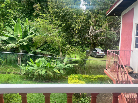 波兰公主旅馆主图