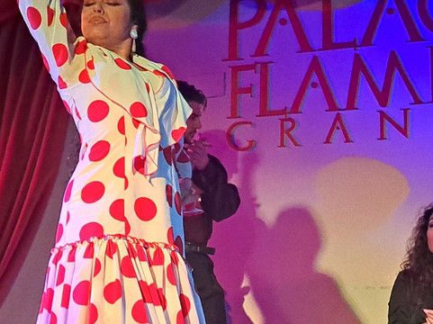 Palacio Flamenco Granada-格拉纳达必去景点