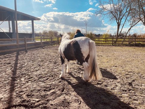 De Smulhoeve-卡特斯维尔必去景点