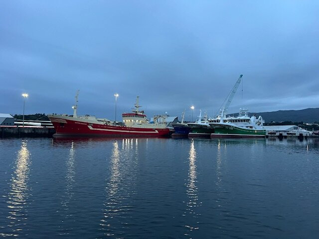 Killybegs Boat Tours