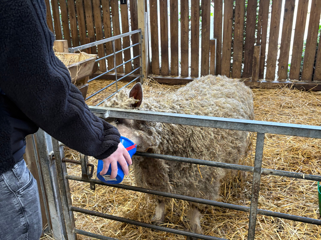 Ash End House Children's Farm-塔姆沃思必去景点