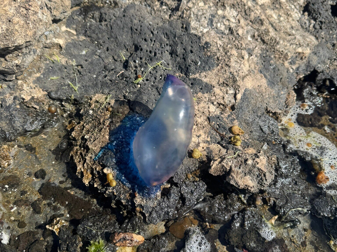 Faro del Tostón-El Cotillo必去景点