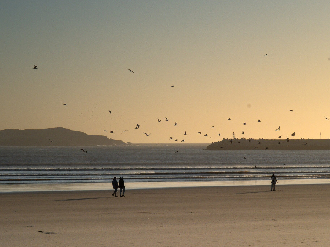 Private Morocco Driver-马拉喀什必去景点