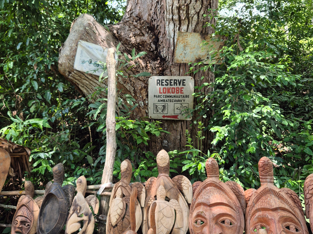 MADA INFINITY TOUR-Nosy Komba必去景点