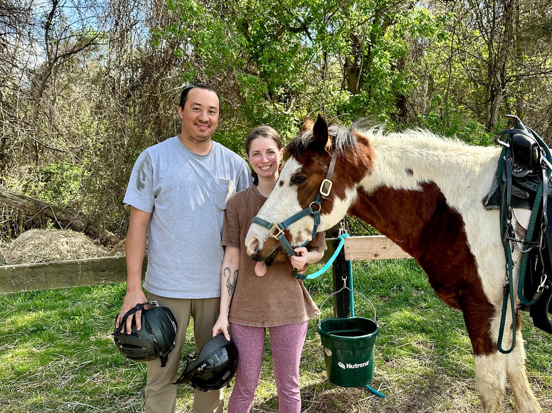 Jordan Hollow Stables-Stanley必去景点