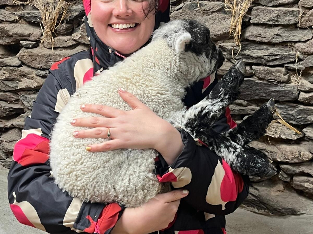 Hold A Baby Lamb-Glanfahan必去景点