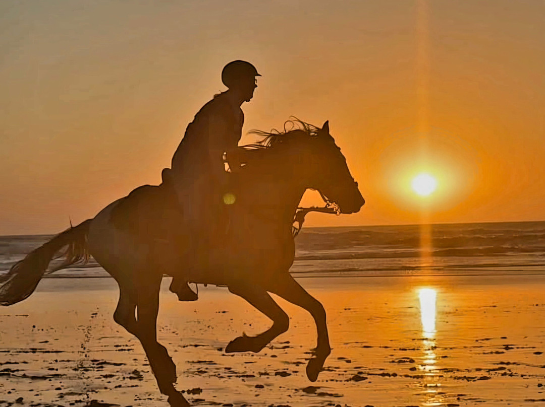 Mogador Horse-Diabat必去景点