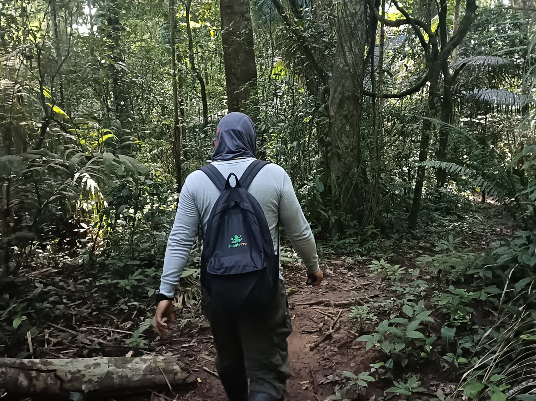 Finca Sachavacayoc lodge主图