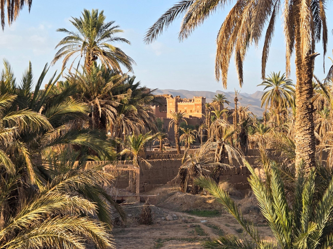 Wild Desert of Morocco-卡萨布兰卡必去景点