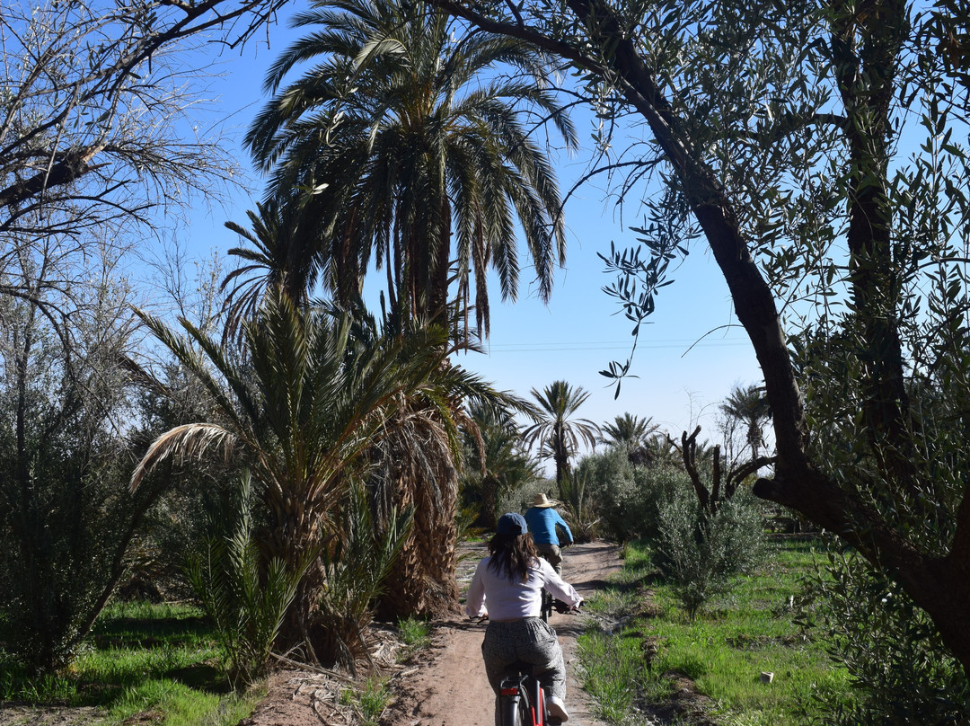 Skoura 360-Skoura必去景点