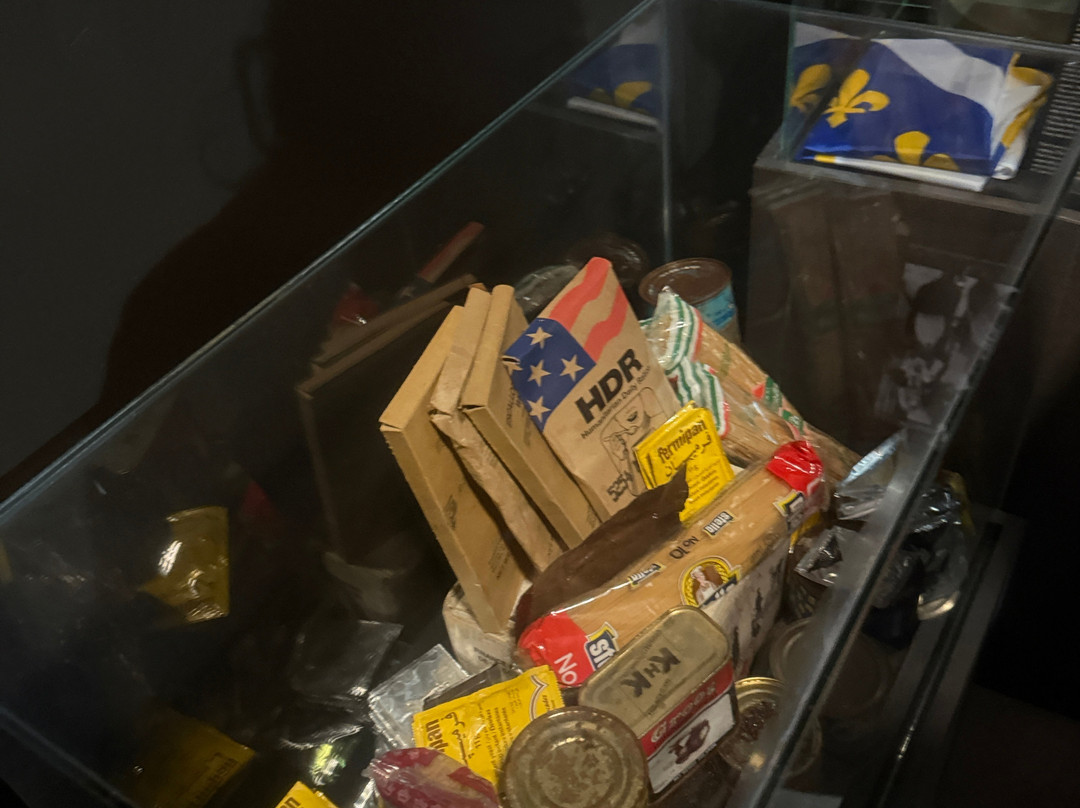 Museum of War and Genocide Victims 1992-1995-莫斯塔尔必去景点