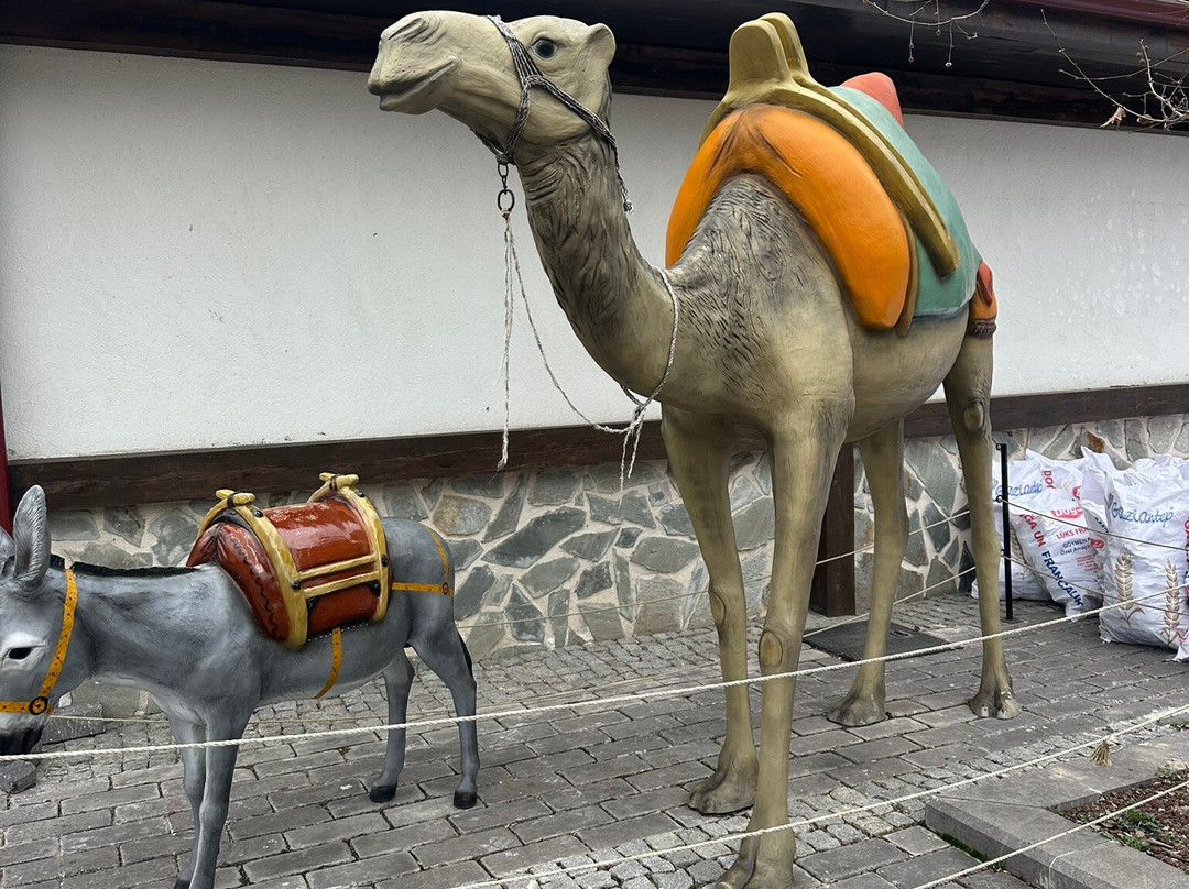 Sivas Sanayi Mektebi Müzesi-Sivas必去景点