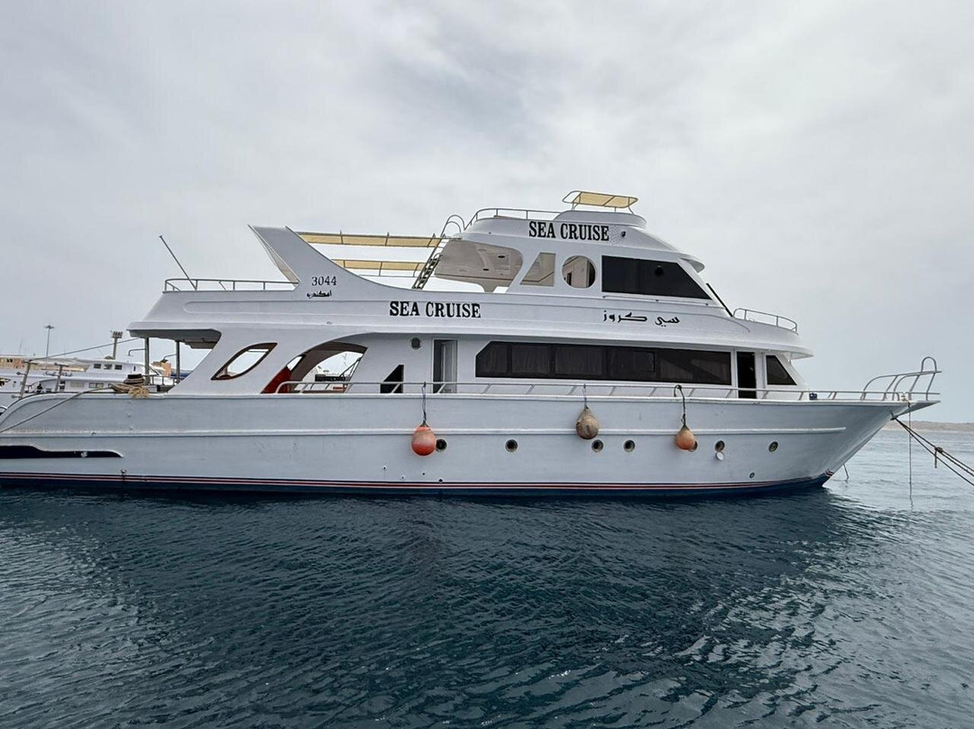 Fenix Red Sea-Hurghada 2必去景点