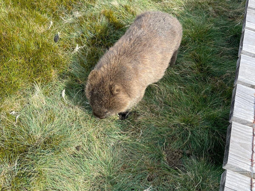 Cradle Mountain Visitor Centre-Cradle Mountain必去景点