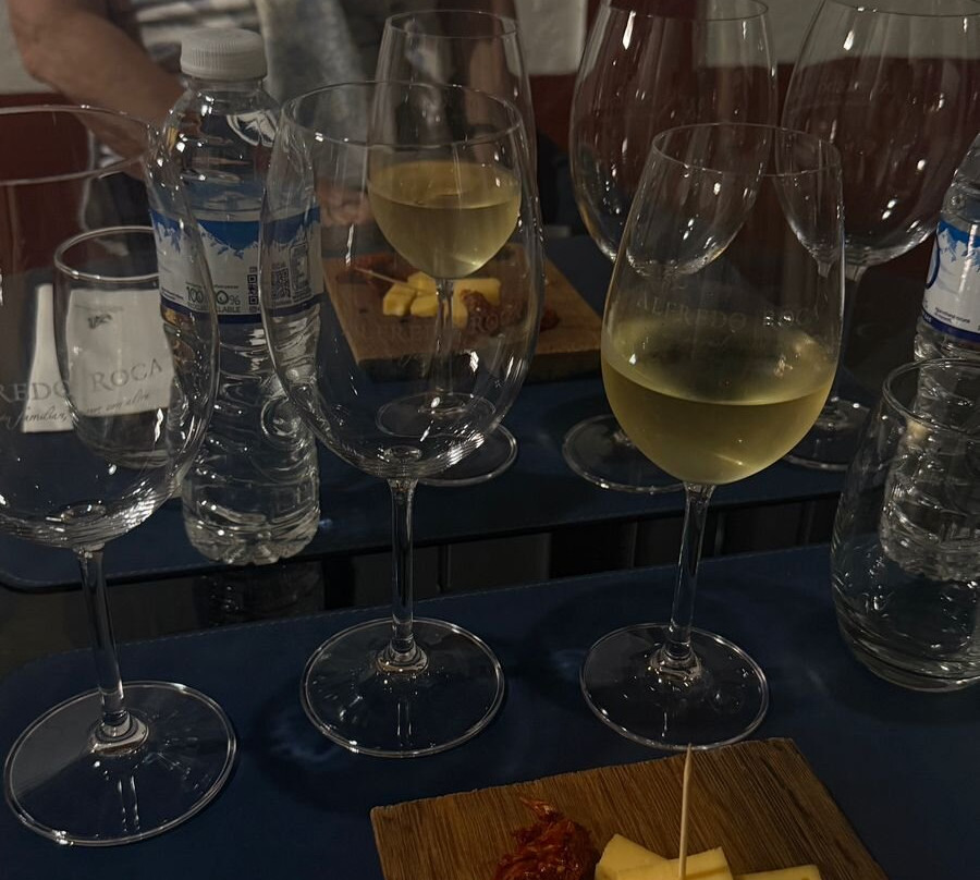 Bodega Alfredo Roca-圣拉斐尔必去景点