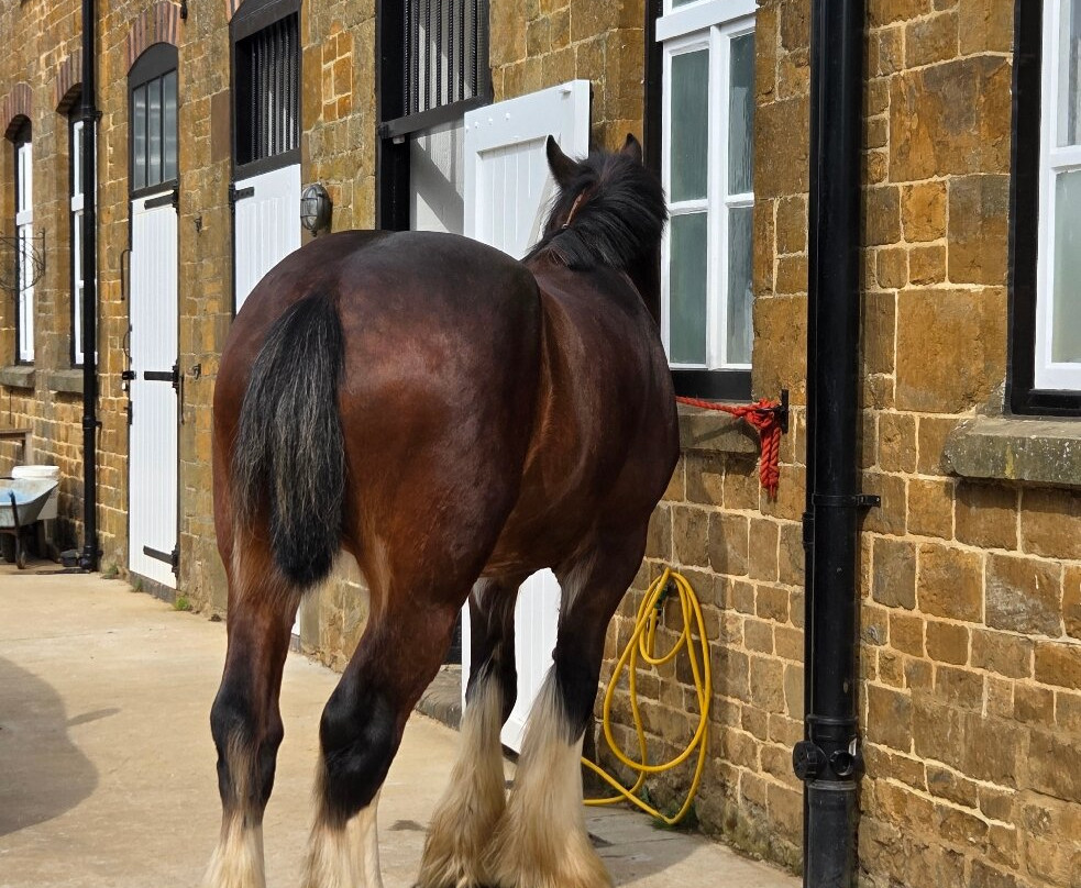 Hook Norton Brewery-Hook Norton必去景点