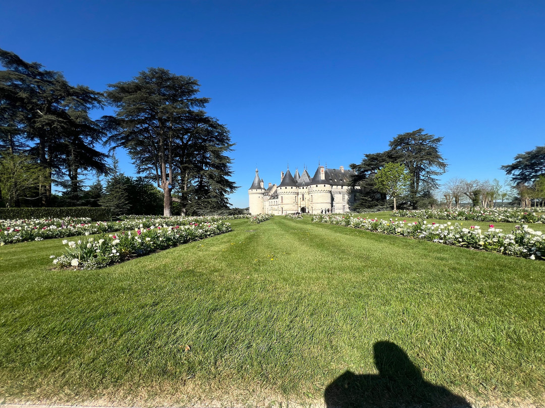 Chateau De Chaumont Sur Loire