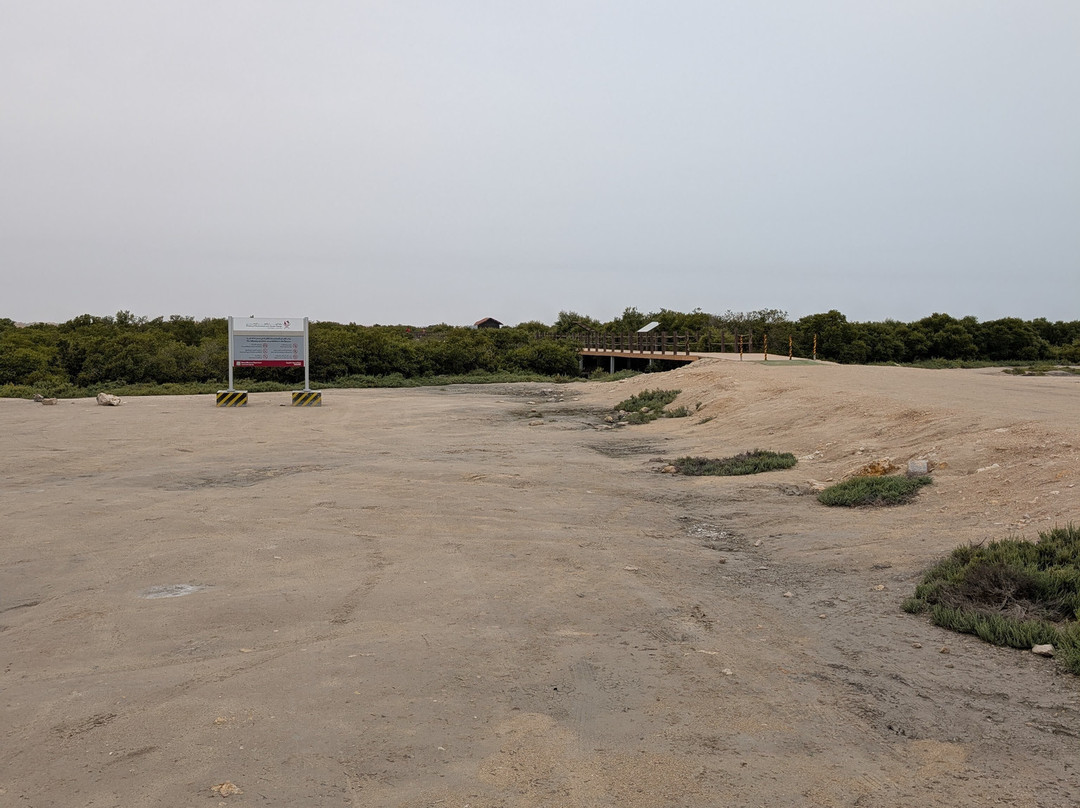 Purple Island - Al Khor Island-Al Khor必去景点