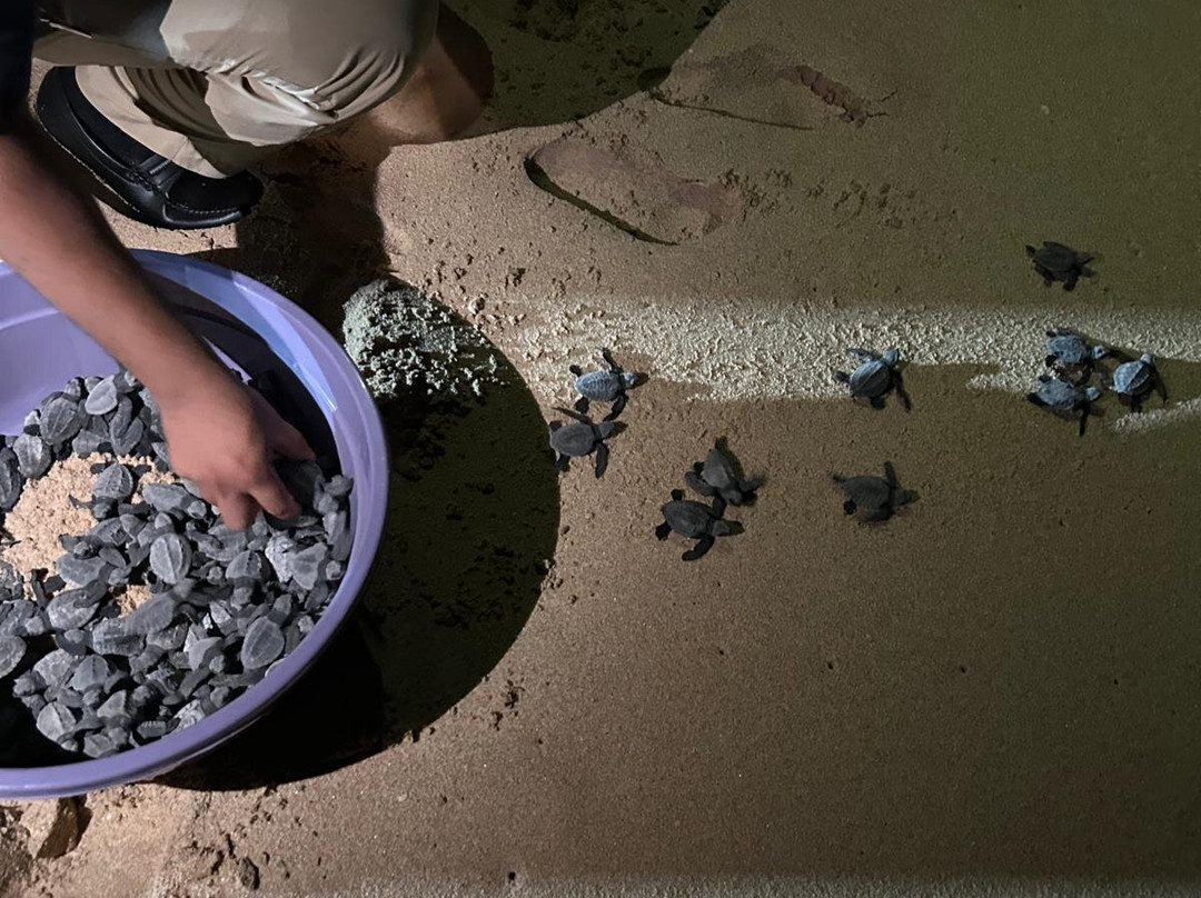 Reveal乌本图海滩别墅主图