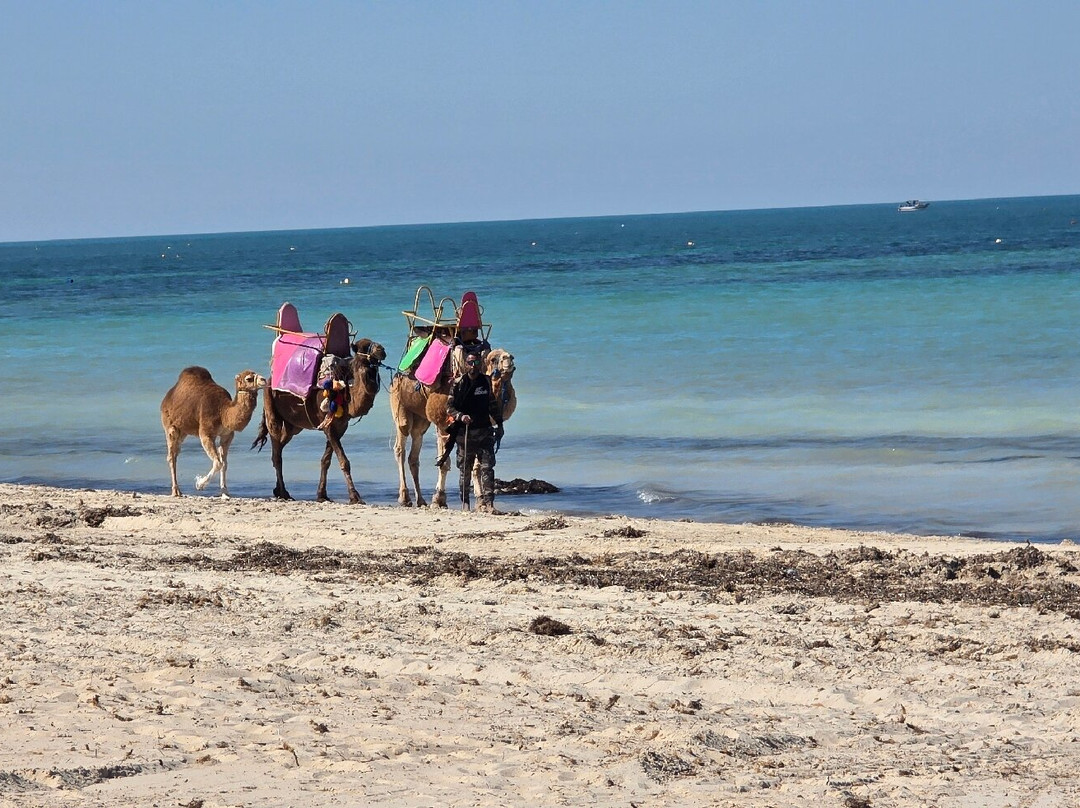 杰尔巴哈斯尔珍贵塔拉索 Spa 酒店主图