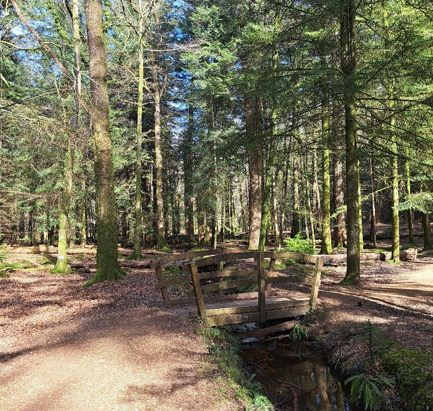 新森林国家公园-林德赫斯特必去景点