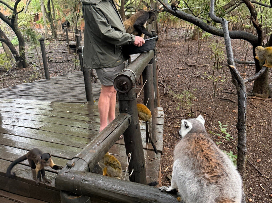 Bush Babies Monkey Sanctuary-哈特比斯普特必去景点