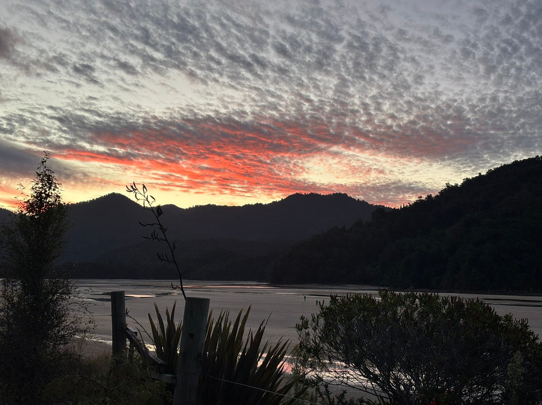 Wilsons Abel Tasman-Abel Tasman National Park必去景点