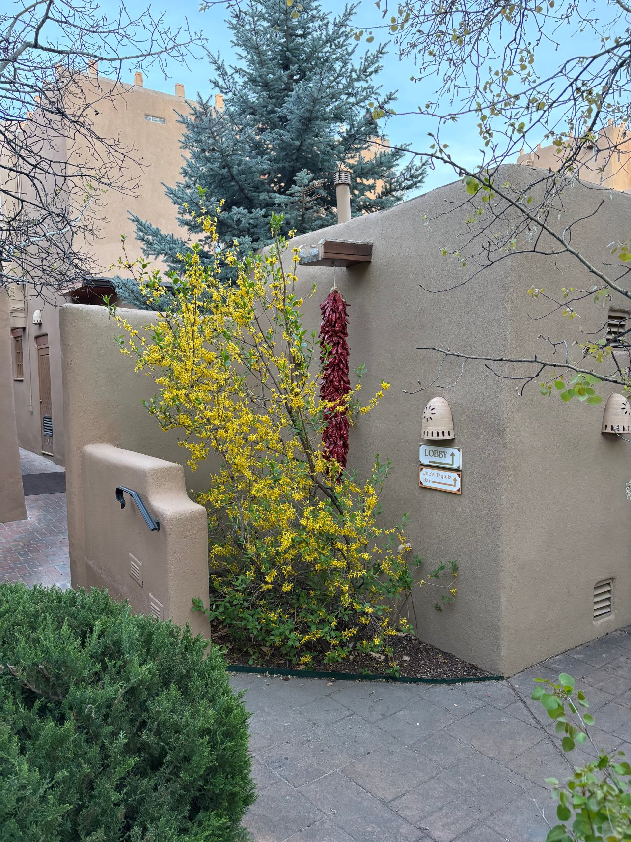 阿拉米达酒店-旅行者