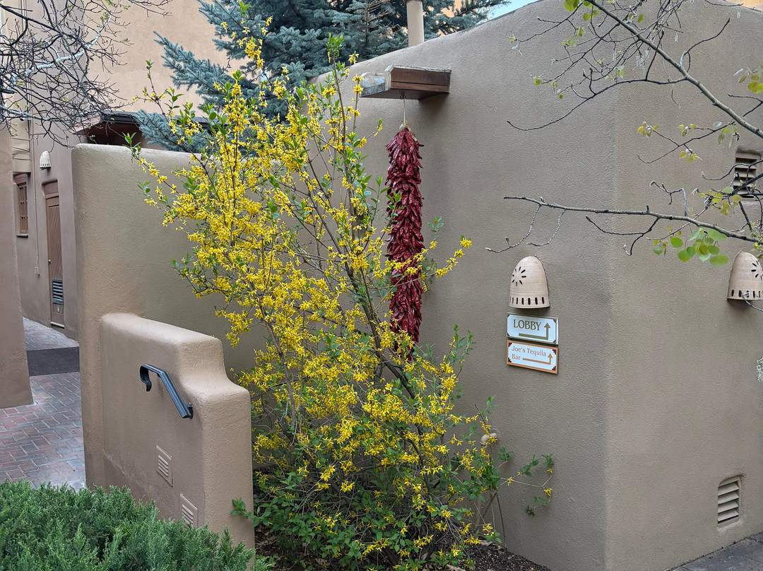 阿拉米达酒店主图