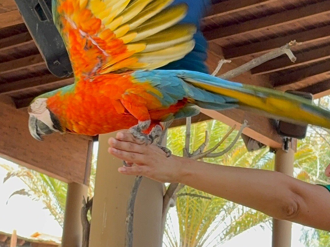 Oasis Park Fuerteventura-La Lajita必去景点