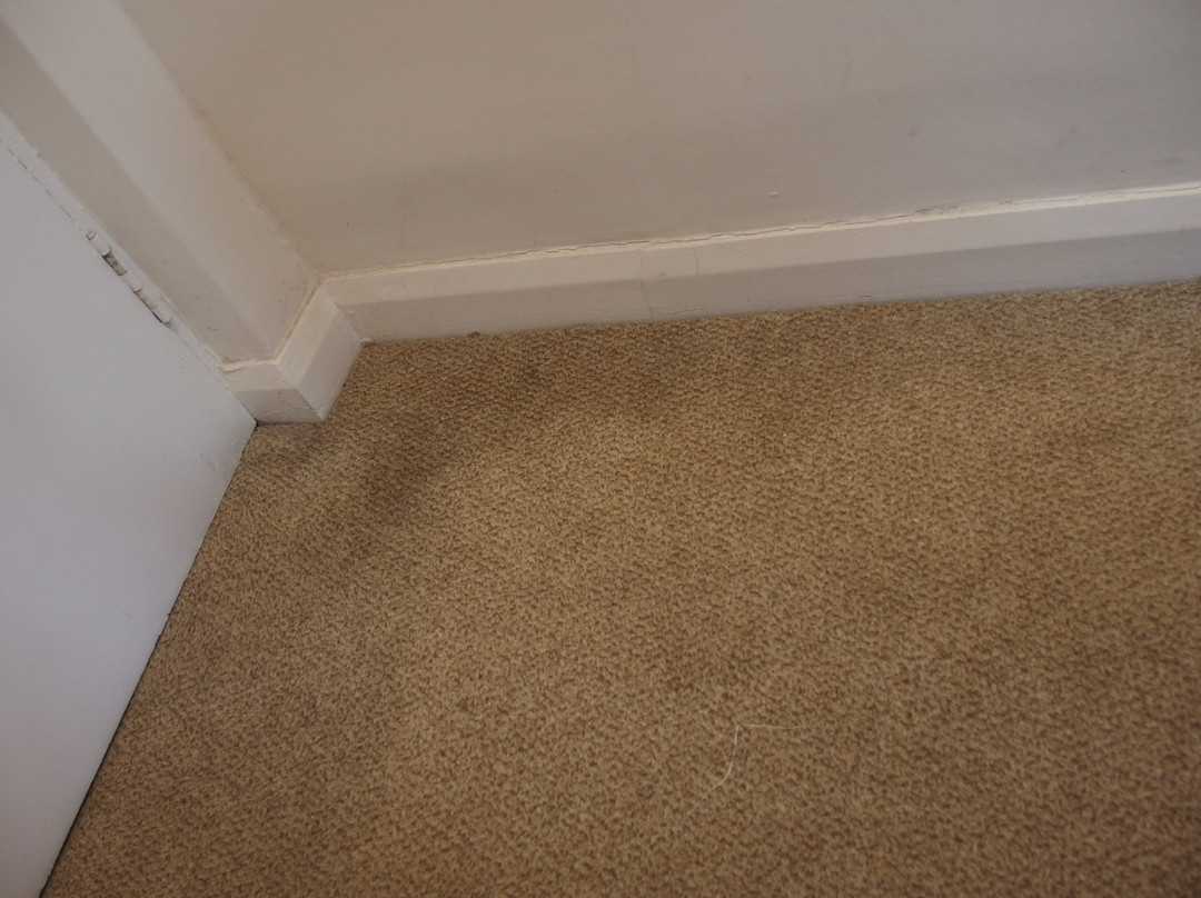 肯德尔湖区, 贝斯特韦斯特Sure精选酒店主图