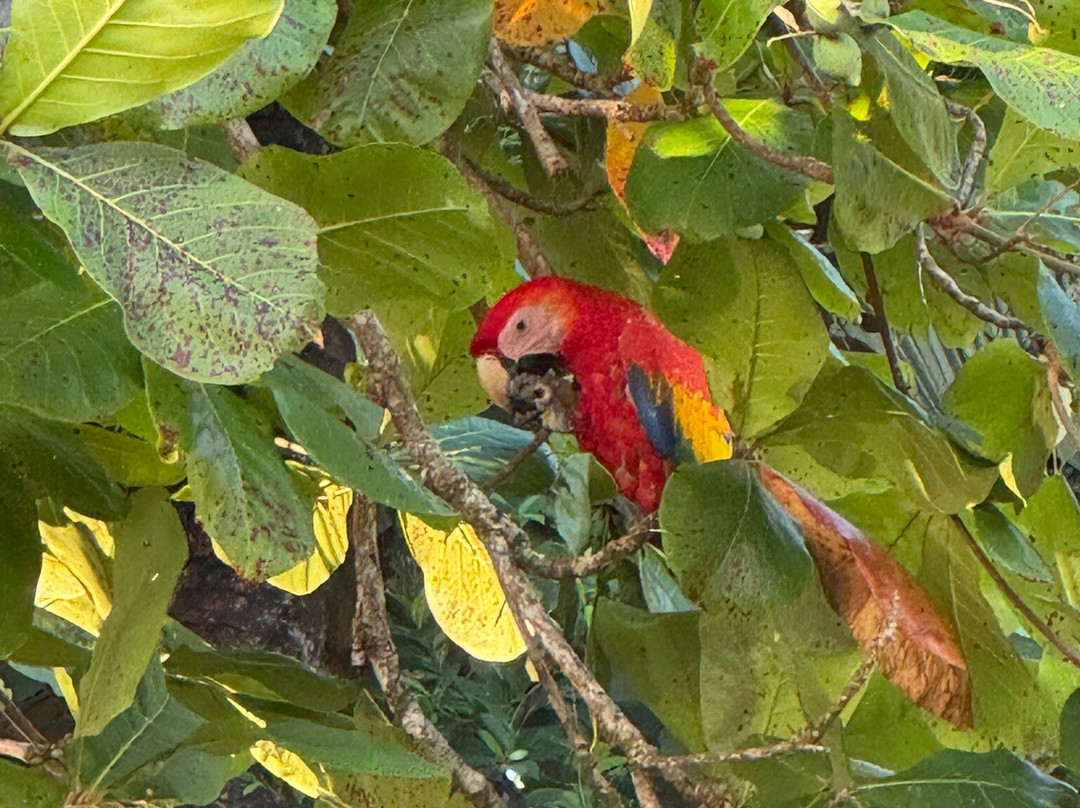 Bocas del Mar Activities-Boca Chica必去景点