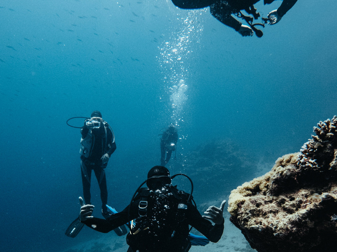 Fish & Friends Diving Centre-达哈卜必去景点