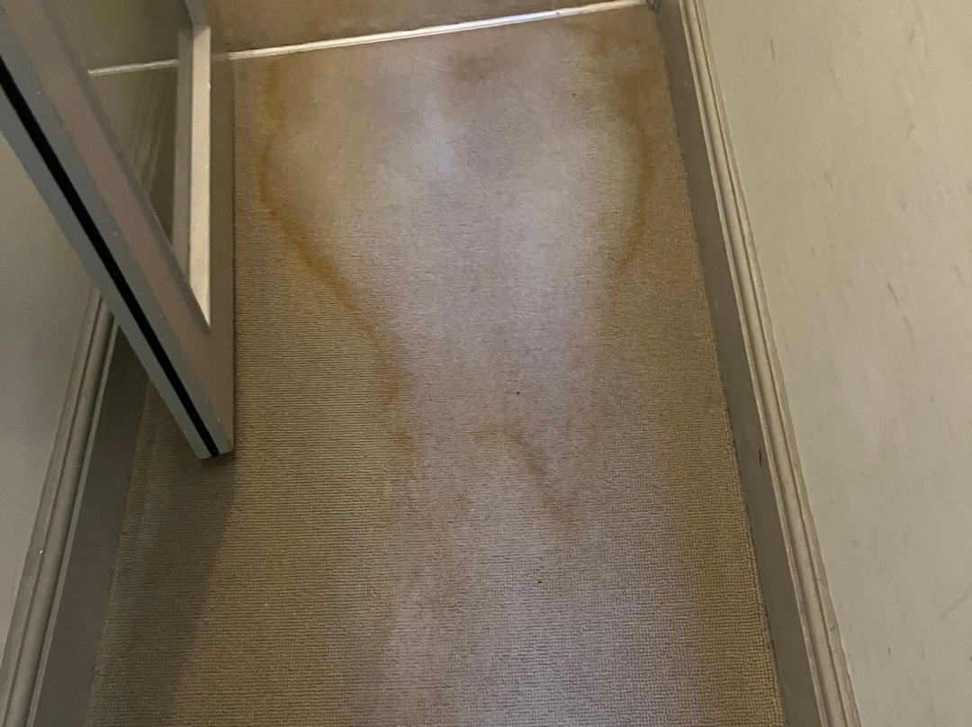 布尔酒店主图