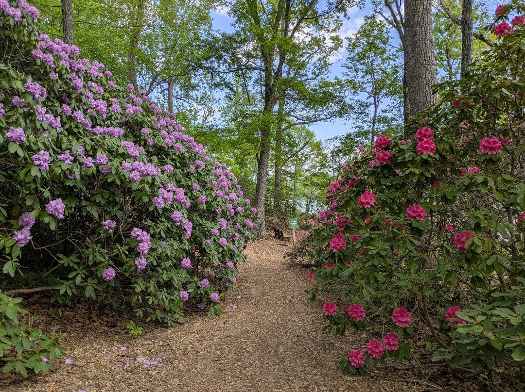 Hamilton Rhododendron Gardens-Hiawassee必去景点