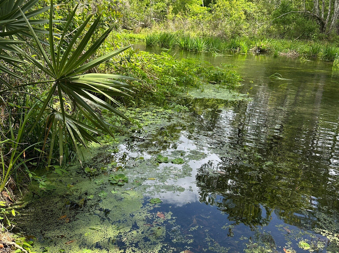 Ichetucknee Springs State Park-Fort White必去景点
