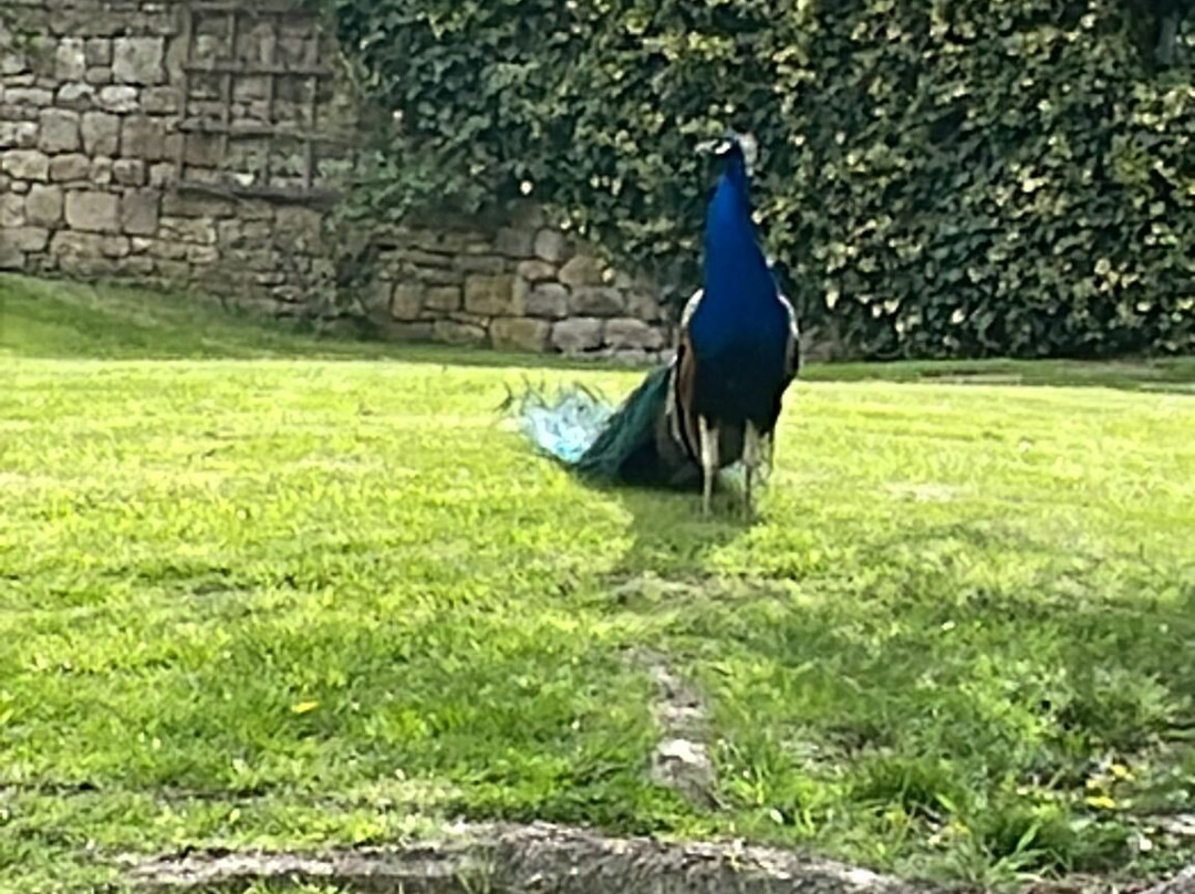 兰利城堡酒店主图