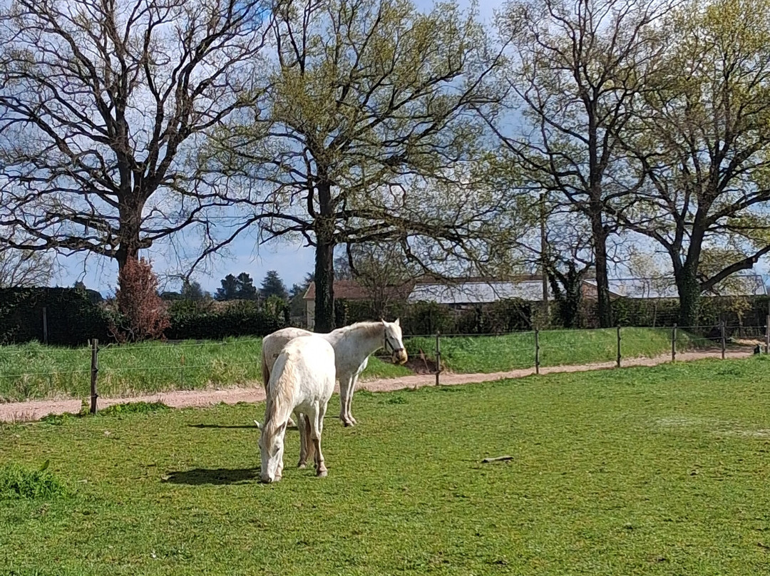 Troisgros旅馆主图
