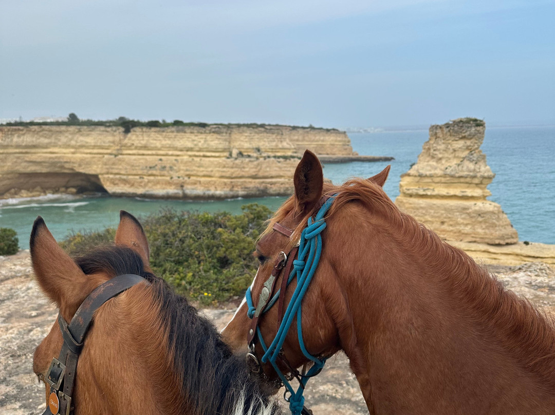 Solid Rocks Algarve Horse Trail Adventures-Porches必去景点