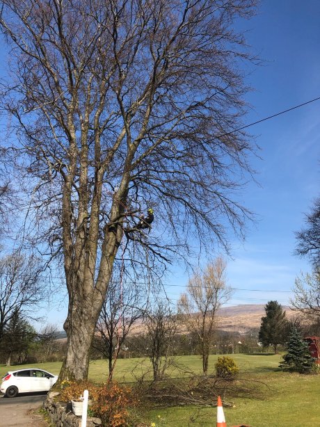Inverlochy Villas-旅行者