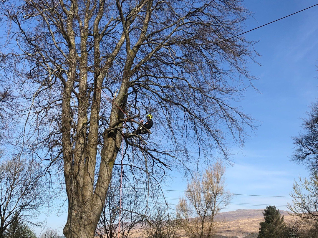 Inverlochy Villas主图
