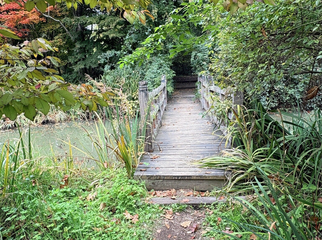 Red Cow Farm - Open Garden-Sutton Forest必去景点