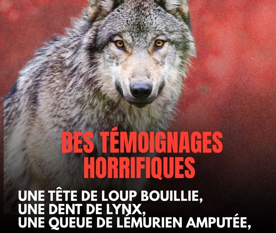 Bois de Saint-Pierre-Smarves必去景点