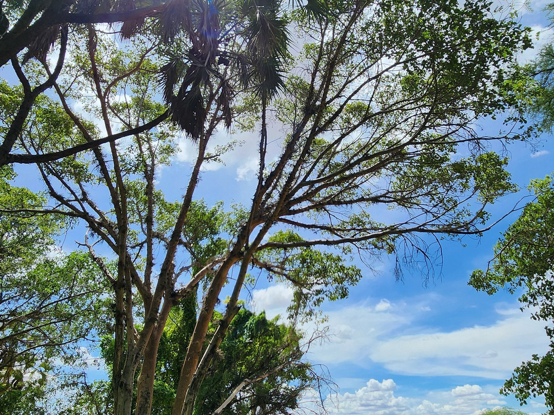 萨罗瓦沙坝山林小屋主图